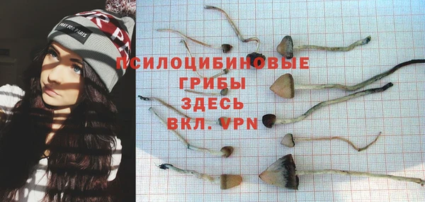 прущая мука Арсеньев